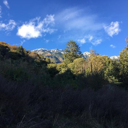 Ca' Rosina. Una Casetta Nel Bosco. Ferrara di Monte Baldo Kültér fotó