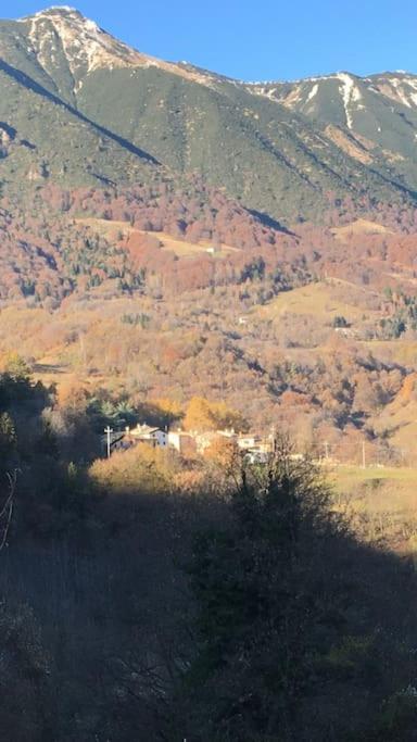 Ca' Rosina. Una Casetta Nel Bosco. Ferrara di Monte Baldo Kültér fotó