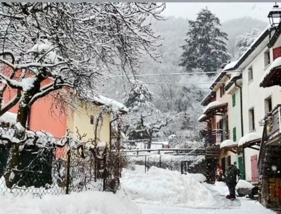 Ca' Rosina. Una Casetta Nel Bosco. Ferrara di Monte Baldo Kültér fotó